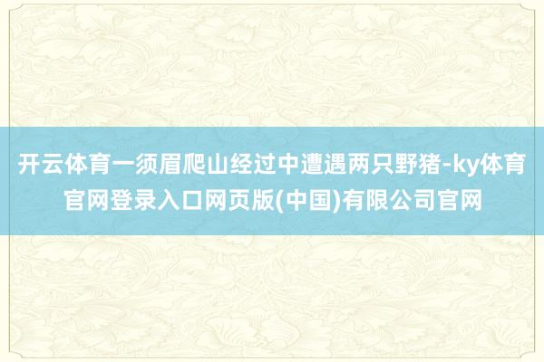 开云体育一须眉爬山经过中遭遇两只野猪-ky体育官网登录入口网页版(中国)有限公司官网
