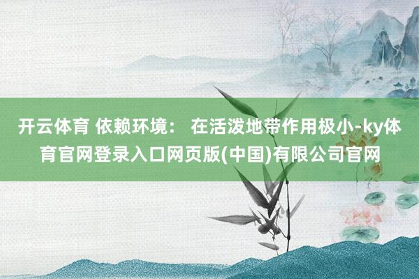 开云体育 依赖环境： 在活泼地带作用极小-ky体育官网登录入口网页版(中国)有限公司官网