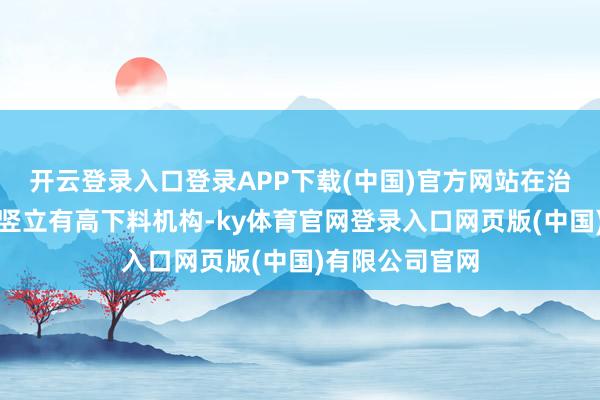 开云登录入口登录APP下载(中国)官方网站在治具平台的上方竖立有高下料机构-ky体育官网登录入口网页版(中国)有限公司官网