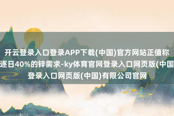 开云登录入口登录APP下载(中国)官方网站正值称心3-12岁儿童逐日40%的锌需求-ky体育官网登录入口网页版(中国)有限公司官网