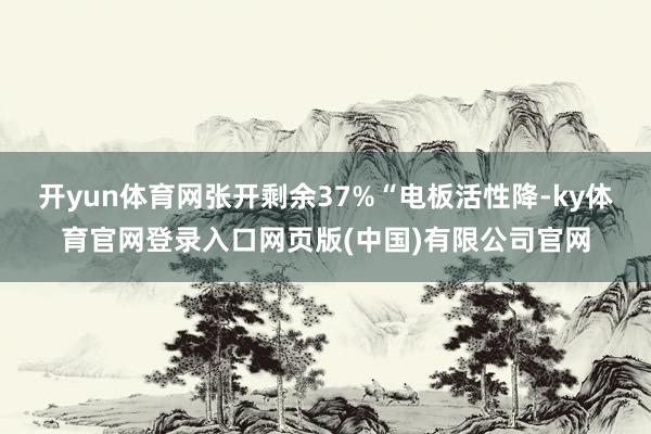 开yun体育网张开剩余37%“电板活性降-ky体育官网登录入口网页版(中国)有限公司官网