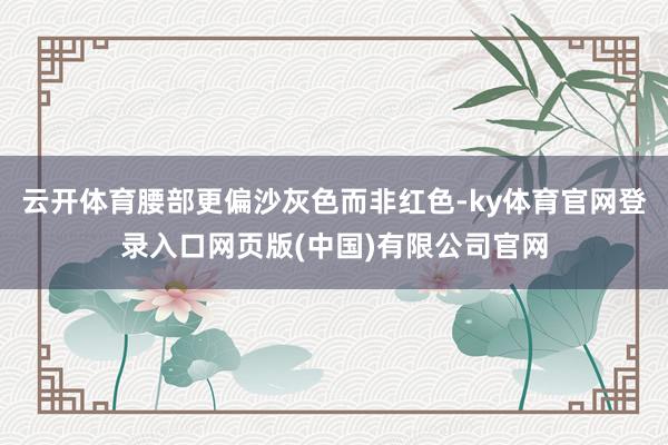 云开体育腰部更偏沙灰色而非红色-ky体育官网登录入口网页版(中国)有限公司官网