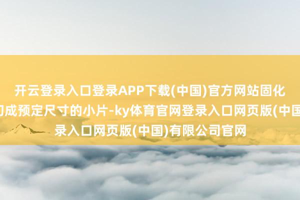 开云登录入口登录APP下载(中国)官方网站固化后的材料被分切成预定尺寸的小片-ky体育官网登录入口网页版(中国)有限公司官网