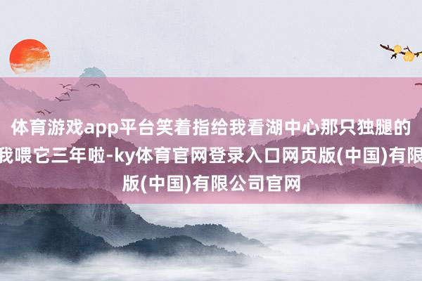 体育游戏app平台笑着指给我看湖中心那只独腿的天鹅：“我喂它三年啦-ky体育官网登录入口网页版(中国)有限公司官网